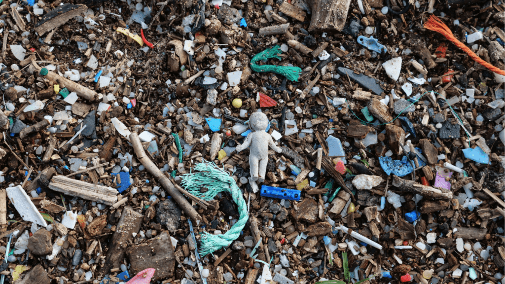 Environmental Impact of Plastic Pollution