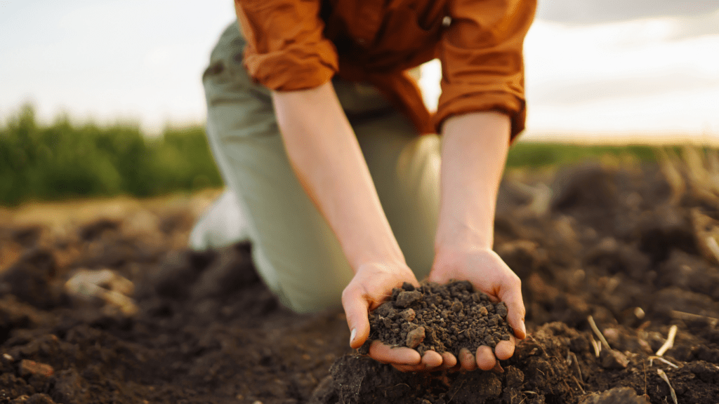 How to Start Composting A Beginner's Guide to Sustainable Gardening