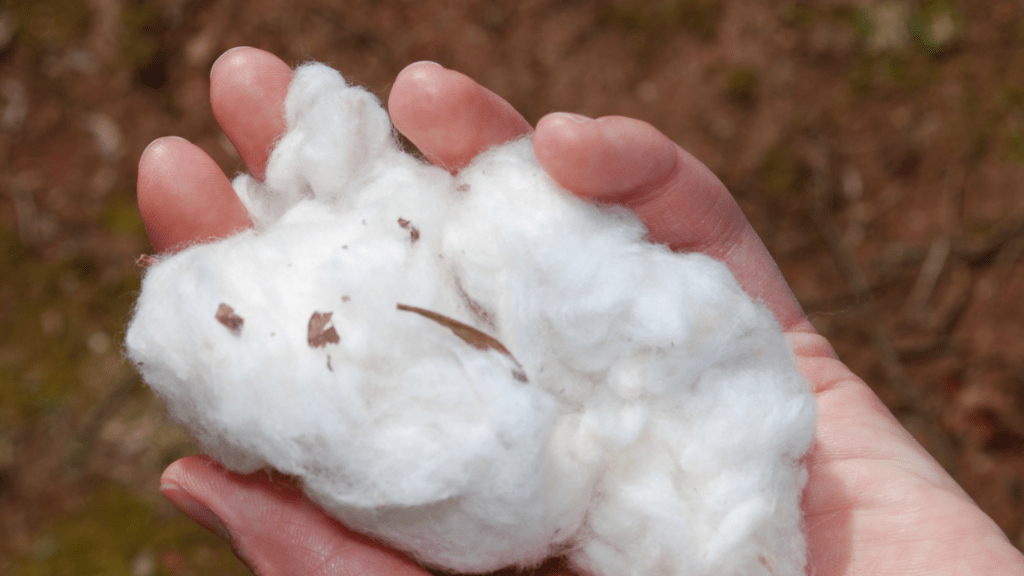 Hypoallergenic Properties of Organic Cotton