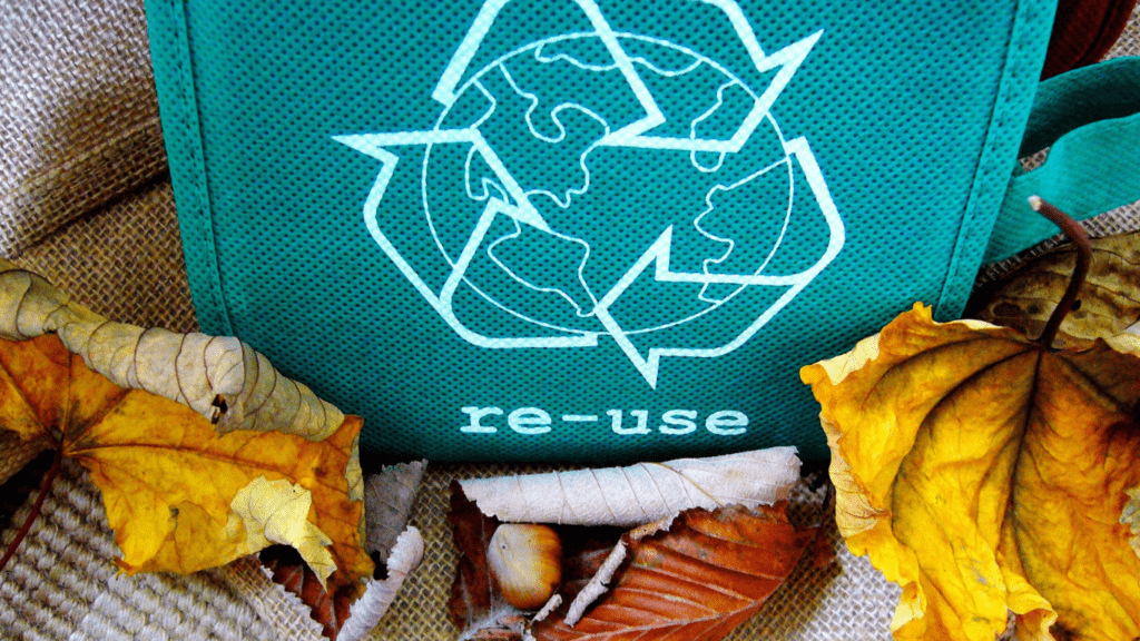 Recycling 101 Essential Tips and Tricks for Effective Waste Management