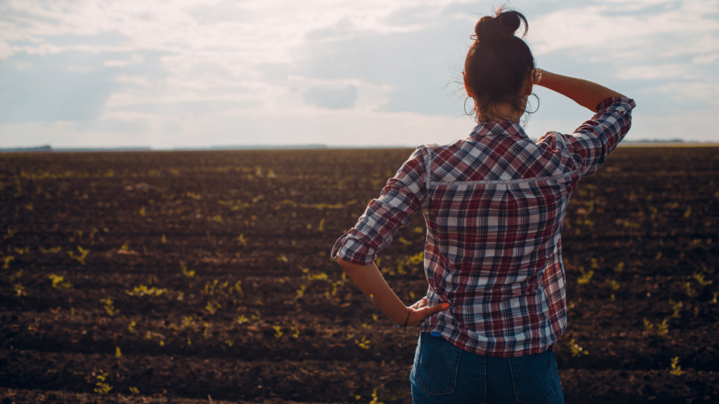 Setting Up Your Composting Area