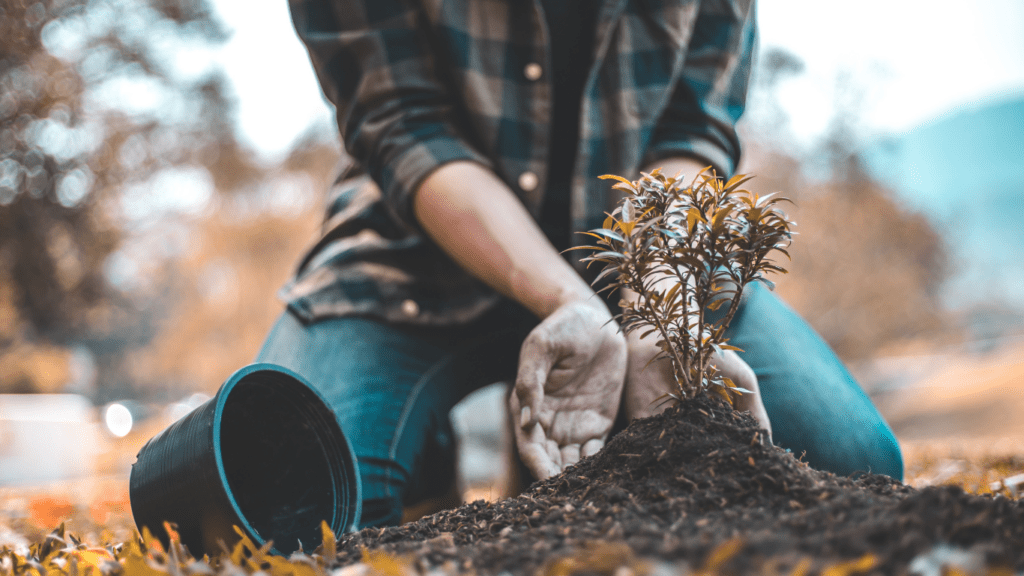 The Benefits of Planting Trees in Your Community Improve Health, Economy, and Environment