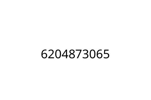 6204873065