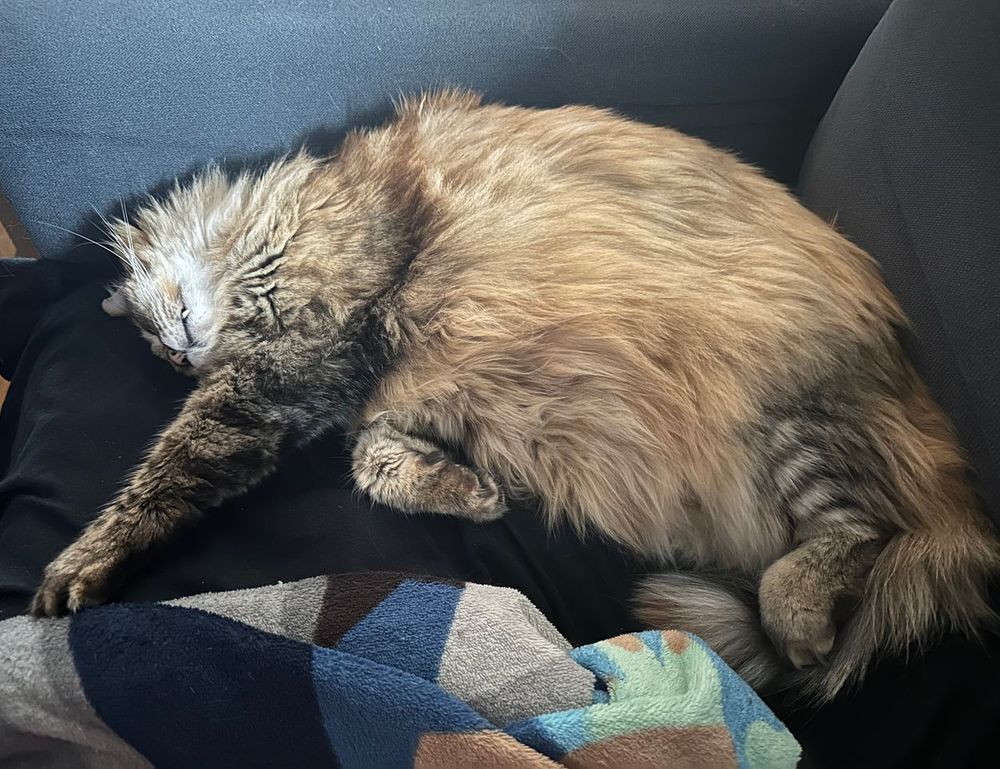 how to fix bug on evebiohaztech