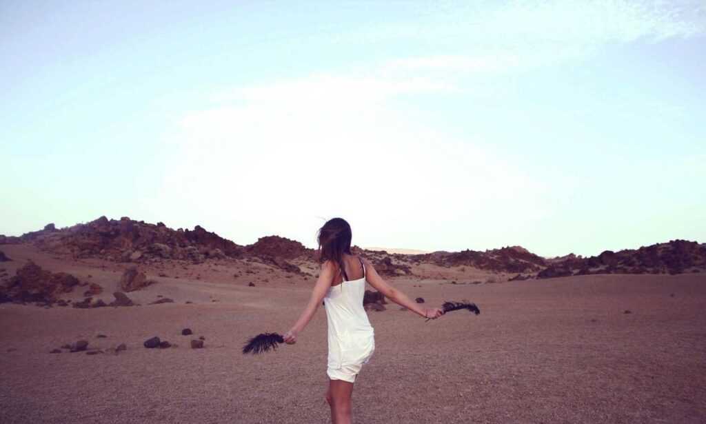 how was teckaya construction equipment founded