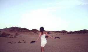 how was teckaya construction equipment founded