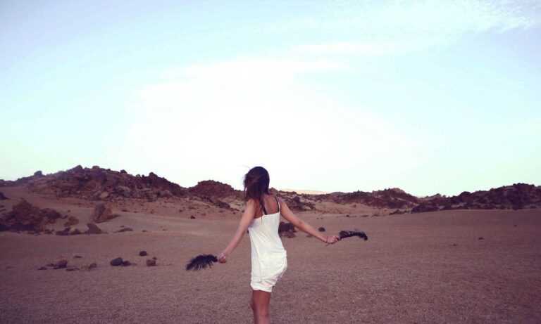 how was teckaya construction equipment founded