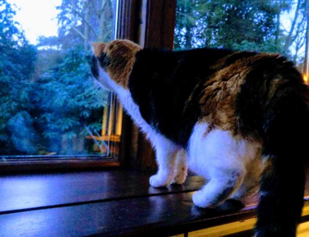 is luvizac safe to use