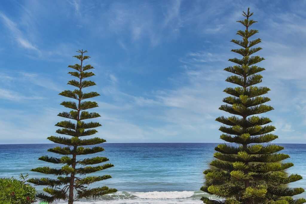 allianz alpha sat login