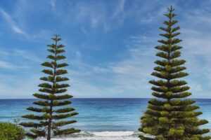 allianz alpha sat login