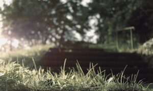 brawl stars kleurplaat squeak