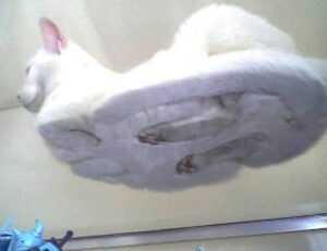 letras antiguas bonitas