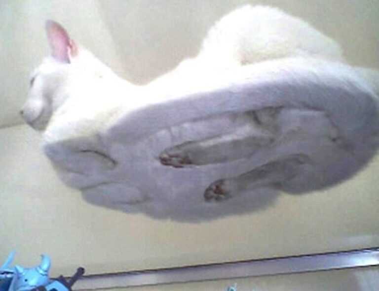 letras antiguas bonitas