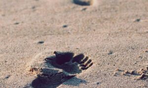 molly and jordy onlyfans