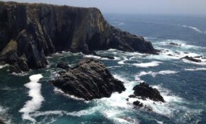 mormantul lui xxtenations