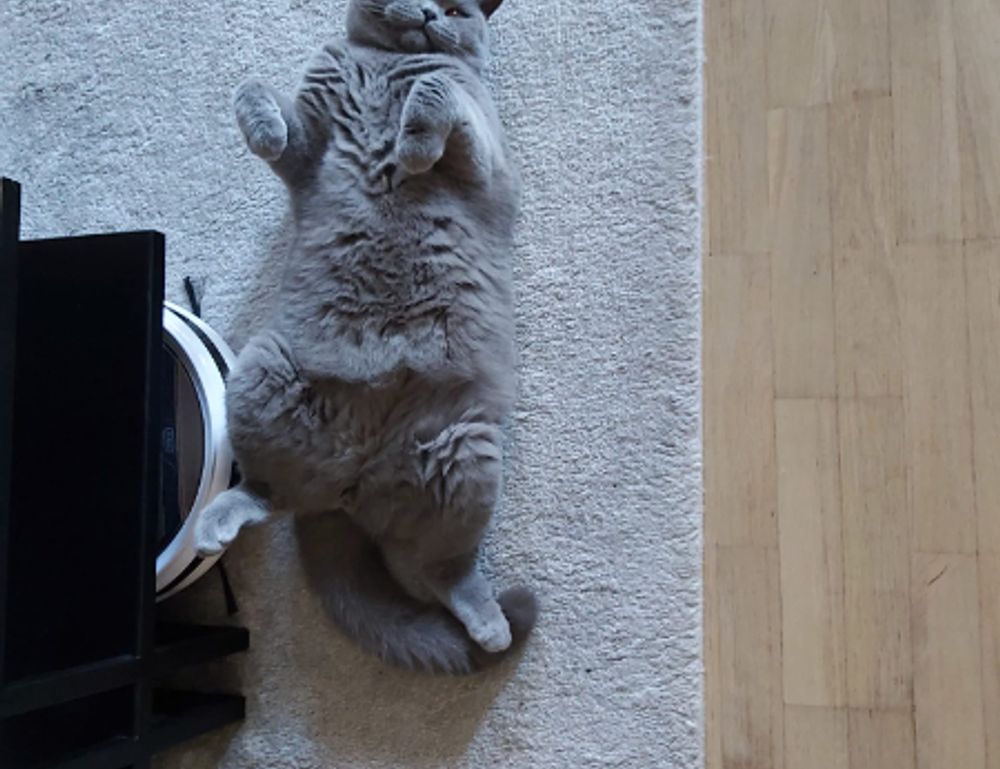 quinchos cerrados sencillos