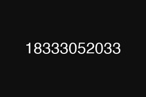 18333052033