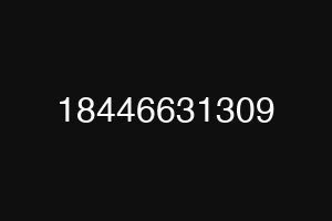 18446631309