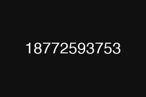 18772593753