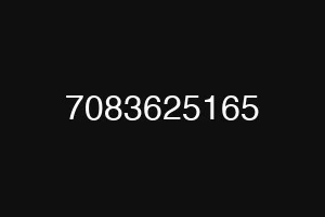 7083625165
