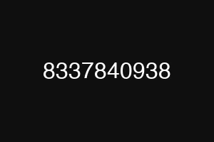 8337840938