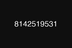 8142519531