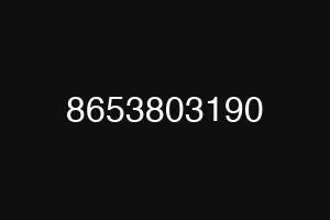 8653803190