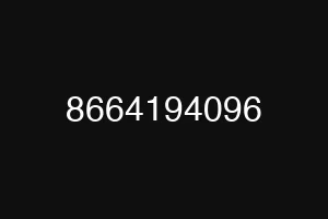 8664194096
