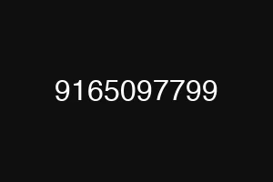 9165097799